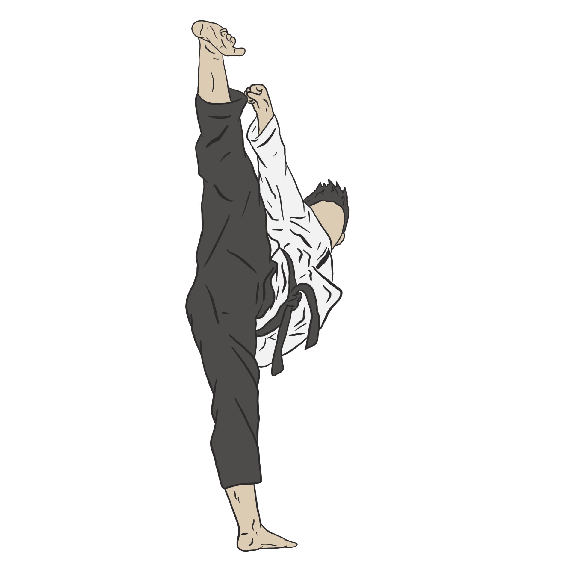 taekwondo fighter illustration 27216873 PNG