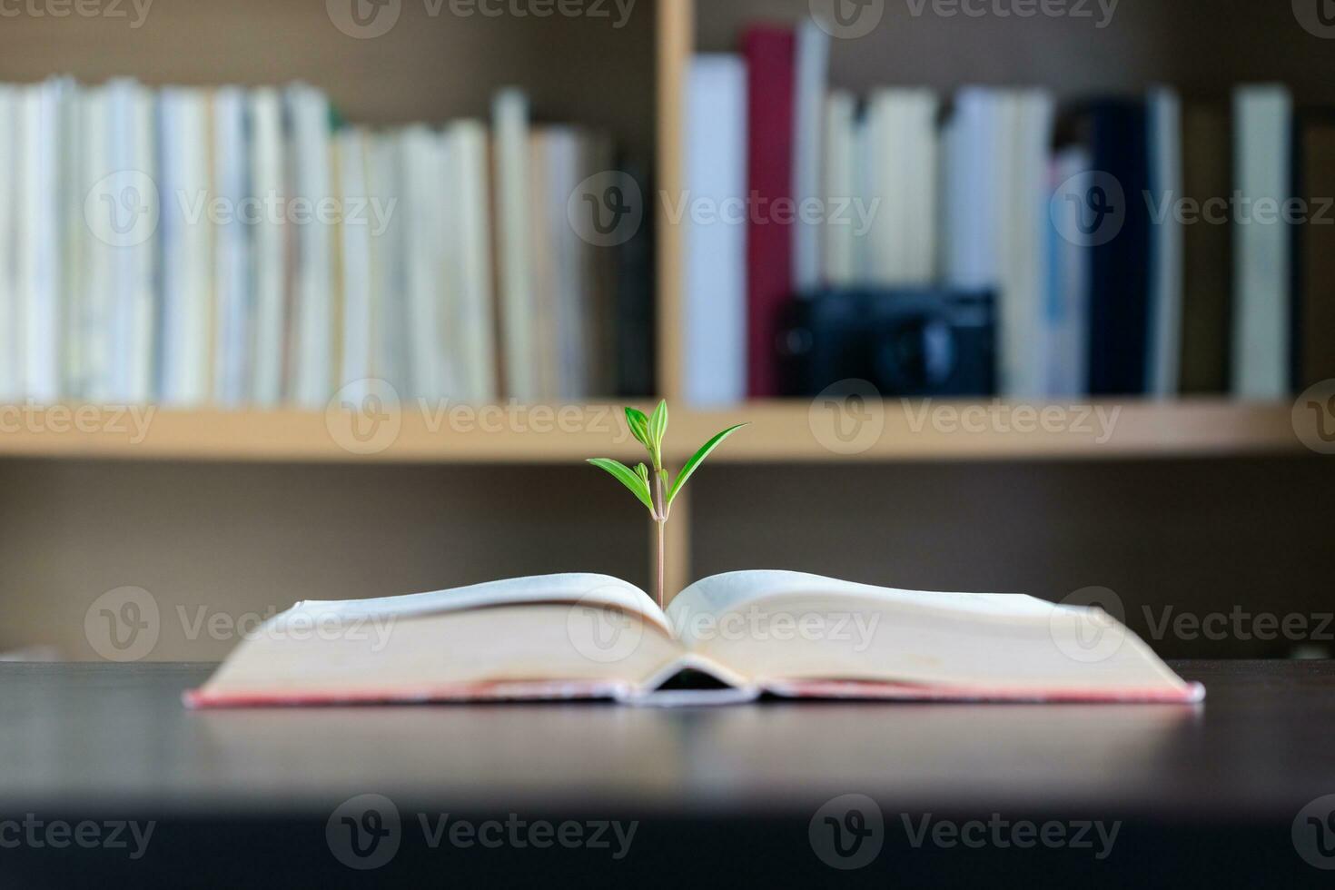 Education learning concept. Book in library with old open textbook, stack piles of literature text archive on reading desk, aisle of bookshelves in school study class room background for academic photo