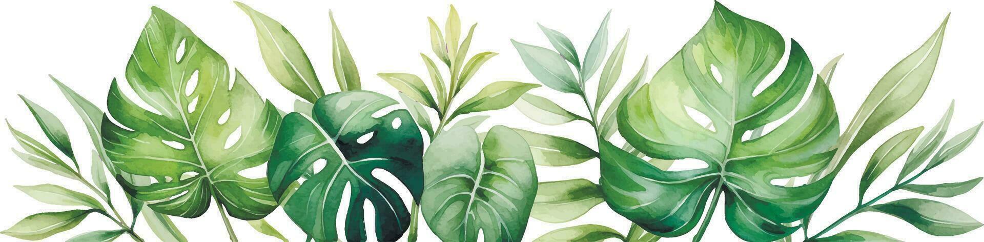 watercolor drawing, border, composition with tropical palm leaves and monstera vector