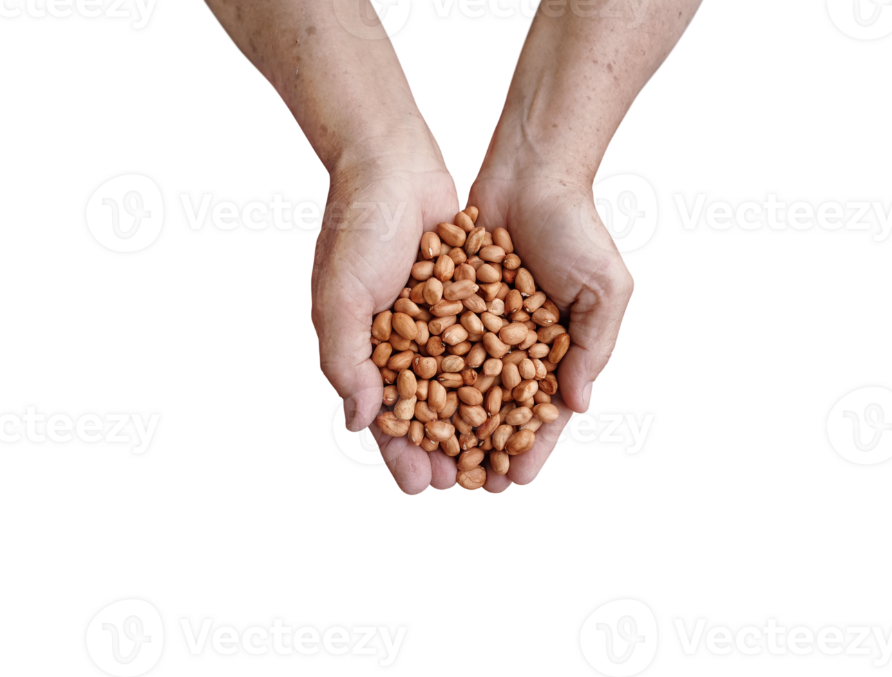 Peanuts in farmer hands  top view PNG transparent