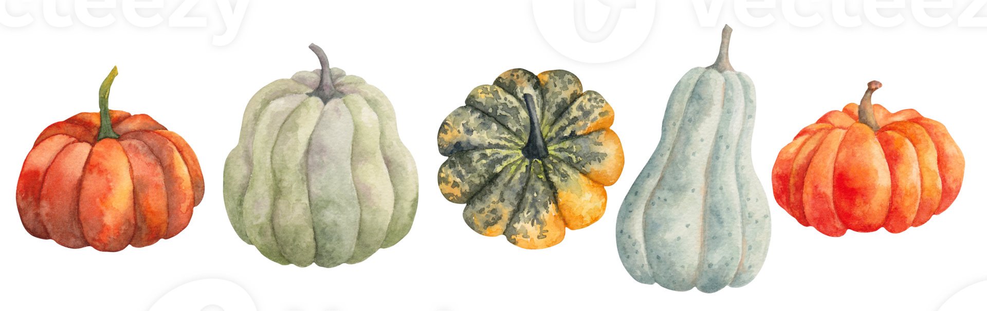 ensemble de citrouilles. différent formes et couleurs de Naturel nourriture ingrédient. clipart pour le conception de cartes et invitations sur le l'automne thème et Halloween. aquarelle illustration. main tiré isolé png