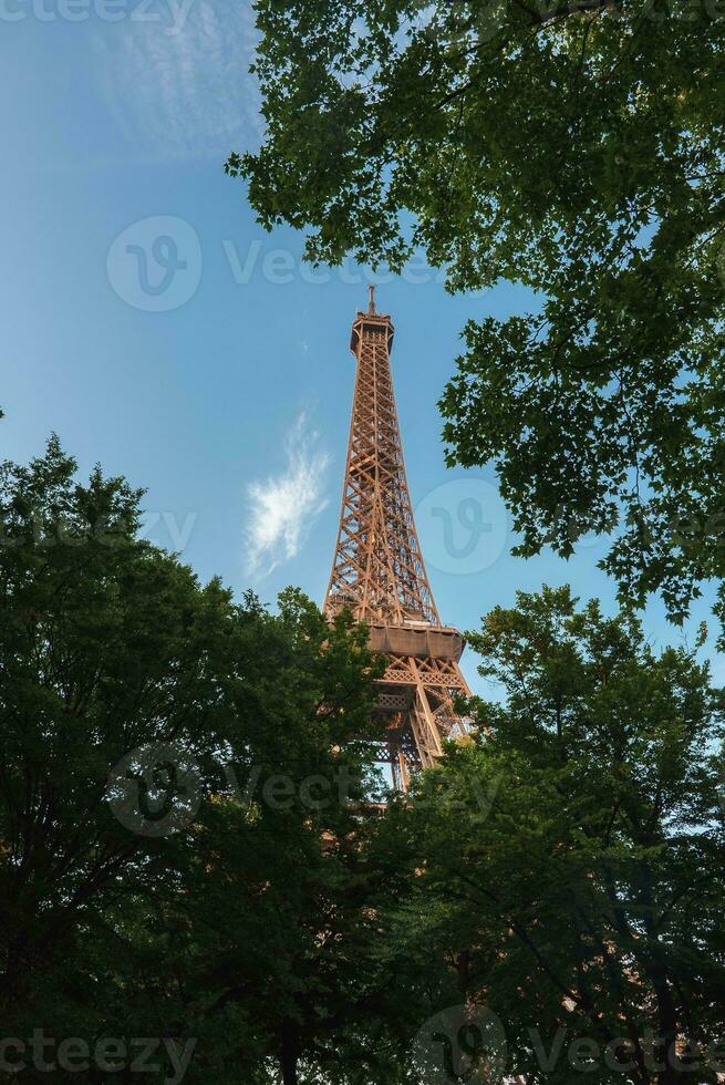 Eiffel Tower Through Greenery in Summer photo