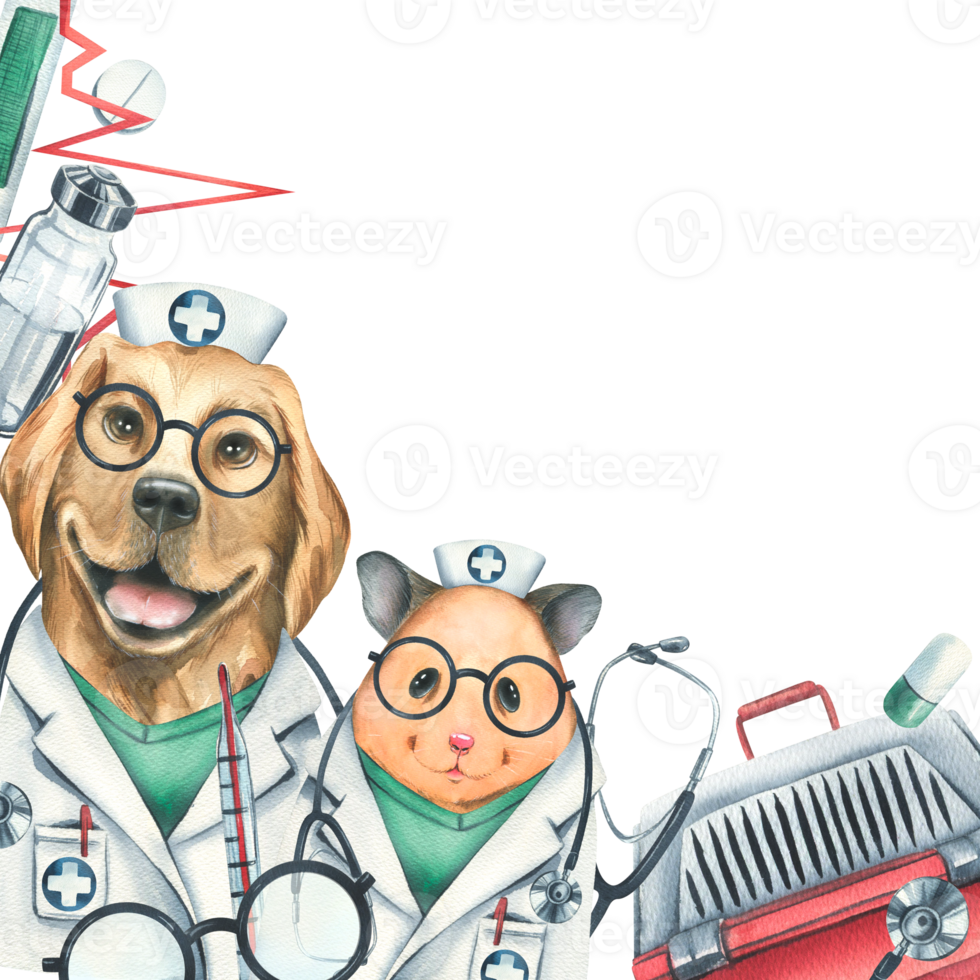 Veterinary doctors hamster with dog, pet carrier, medicines. Watercolor illustration, hand drawn, for the design of clinics, hospitals, pharmacies. Template png