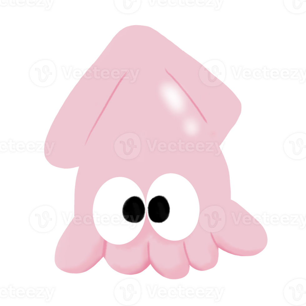 cartoon squid illustration png