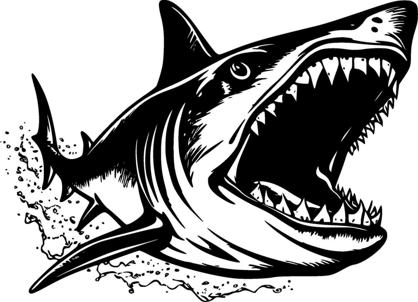 Shark - High Quality Vector Logo - Vector illustration ideal for T-shirt graphic