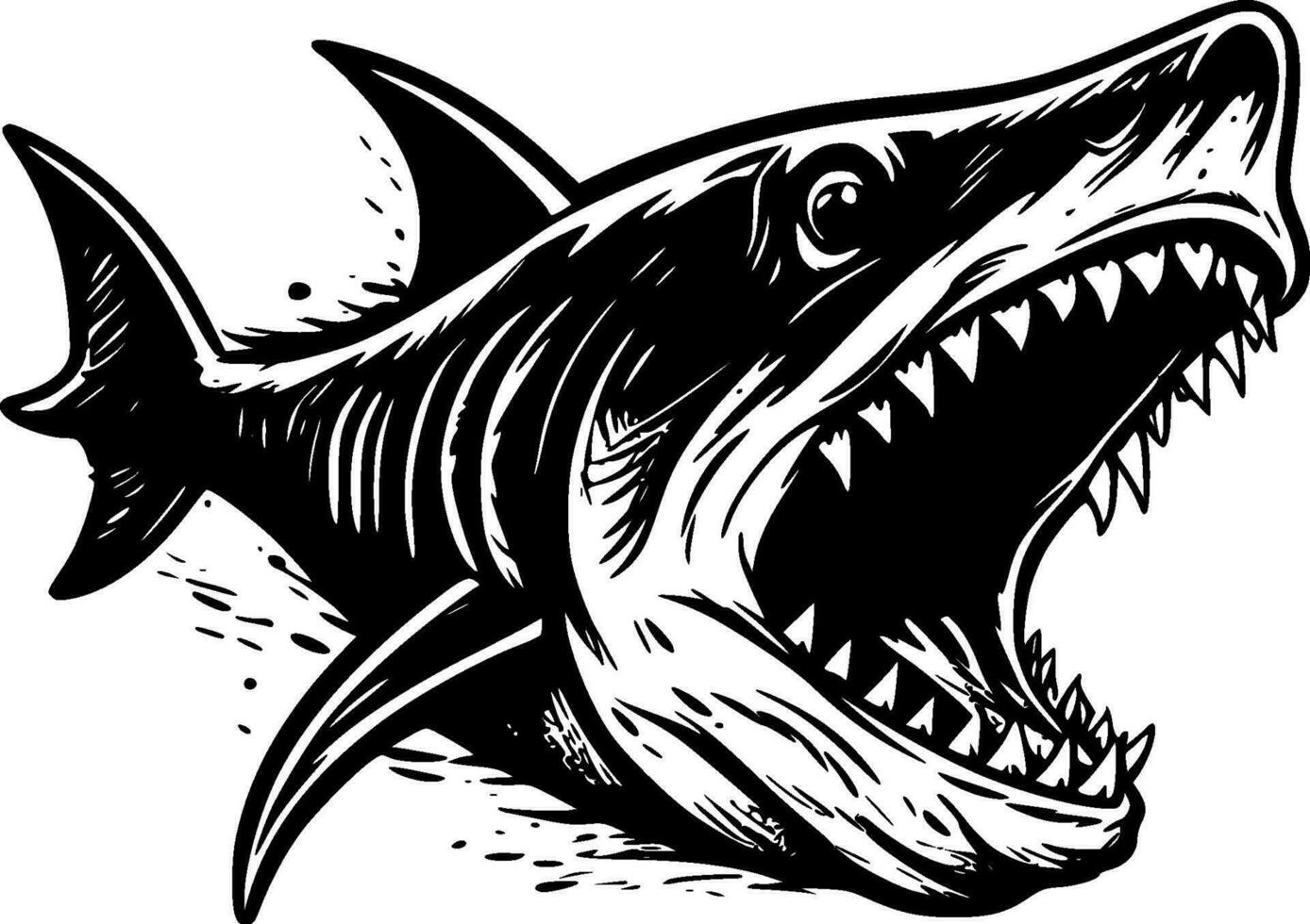 Shark, Black and White Vector illustration