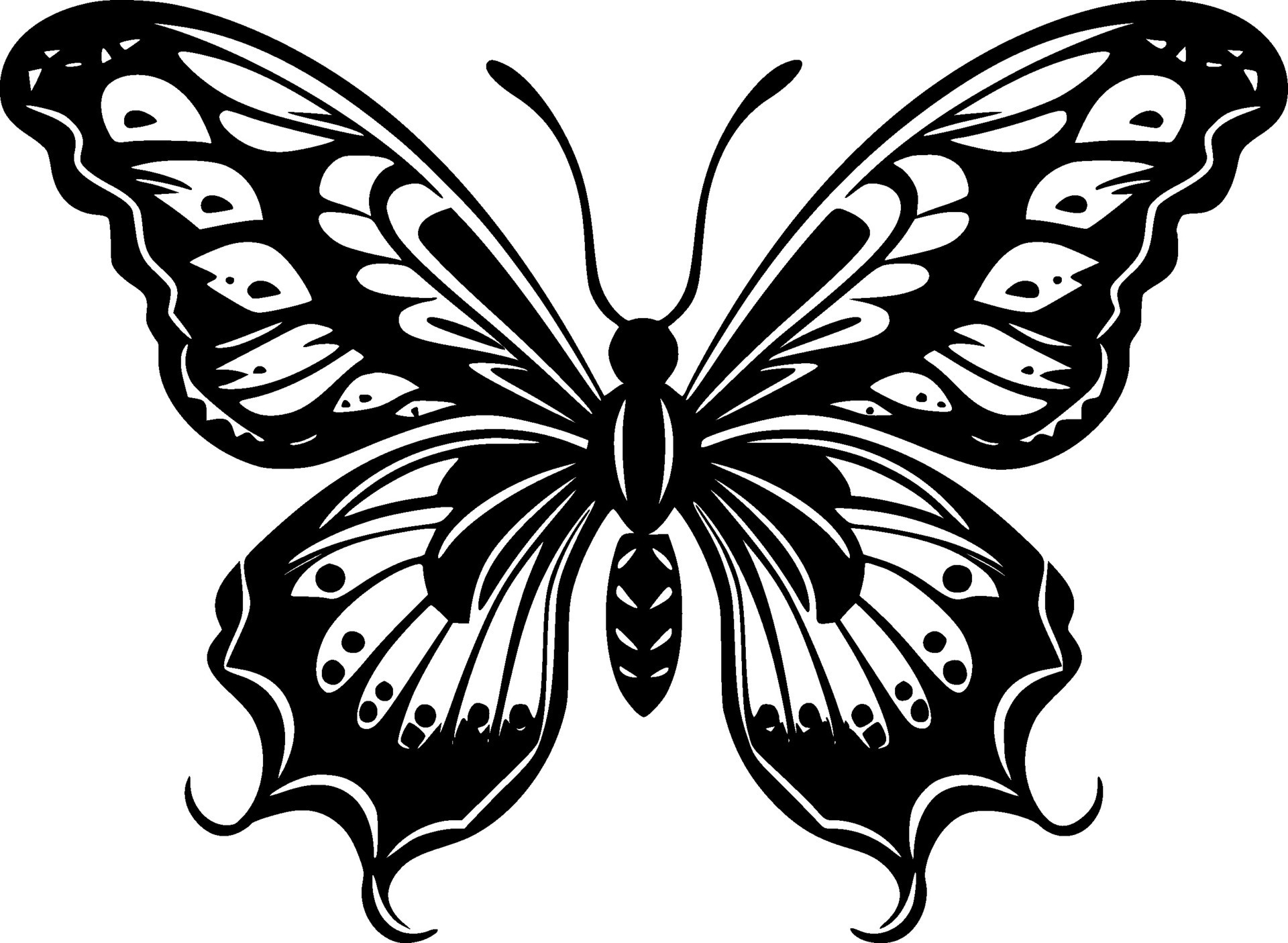 Butterfly, Black and White Vector illustration 27227893 Vector Art at