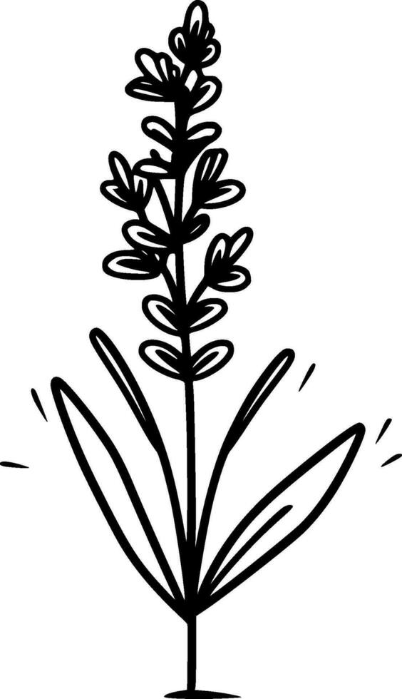 lavanda, minimalista y sencillo silueta - vector ilustración