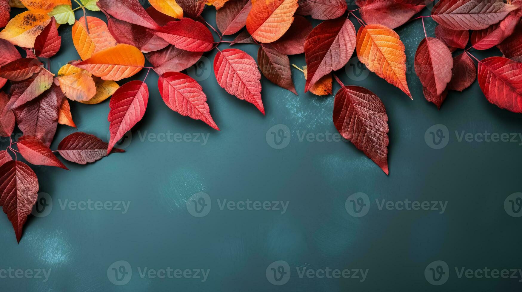 Autumn background with colored red leaves on green slate background top view copy space photo