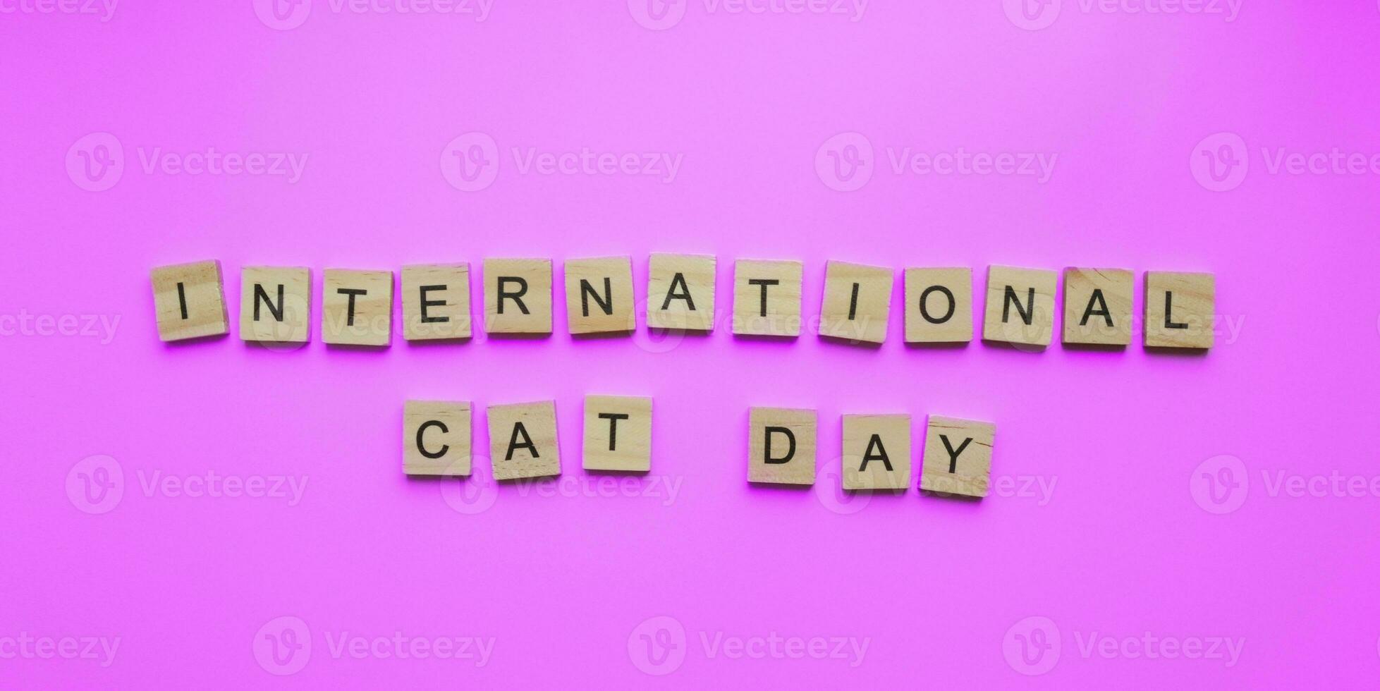 August 8, World Cat Day, minimalistic banner, inscription in wooden letters International Cat Day photo