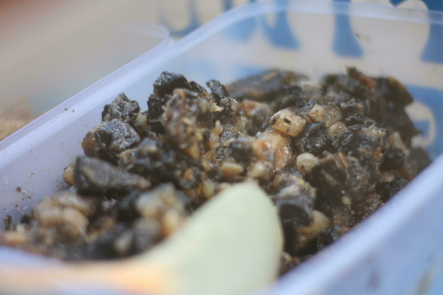 Gathot is a typical snack from Gunungkidul, Special Region of Yogyakarta, which is made from cassava or cassava which has been processed into cassava. photo