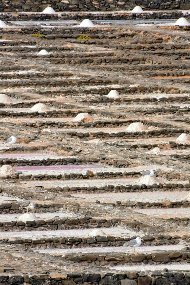 salt pans in the salt flats photo