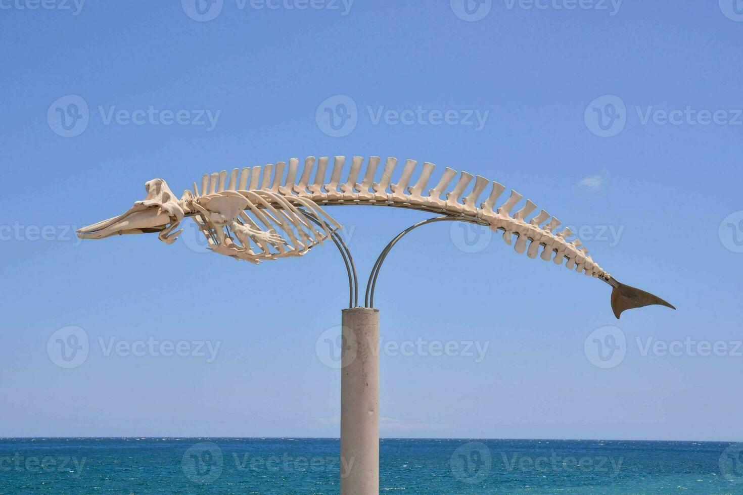 a fish skeleton on a pole near the ocean photo