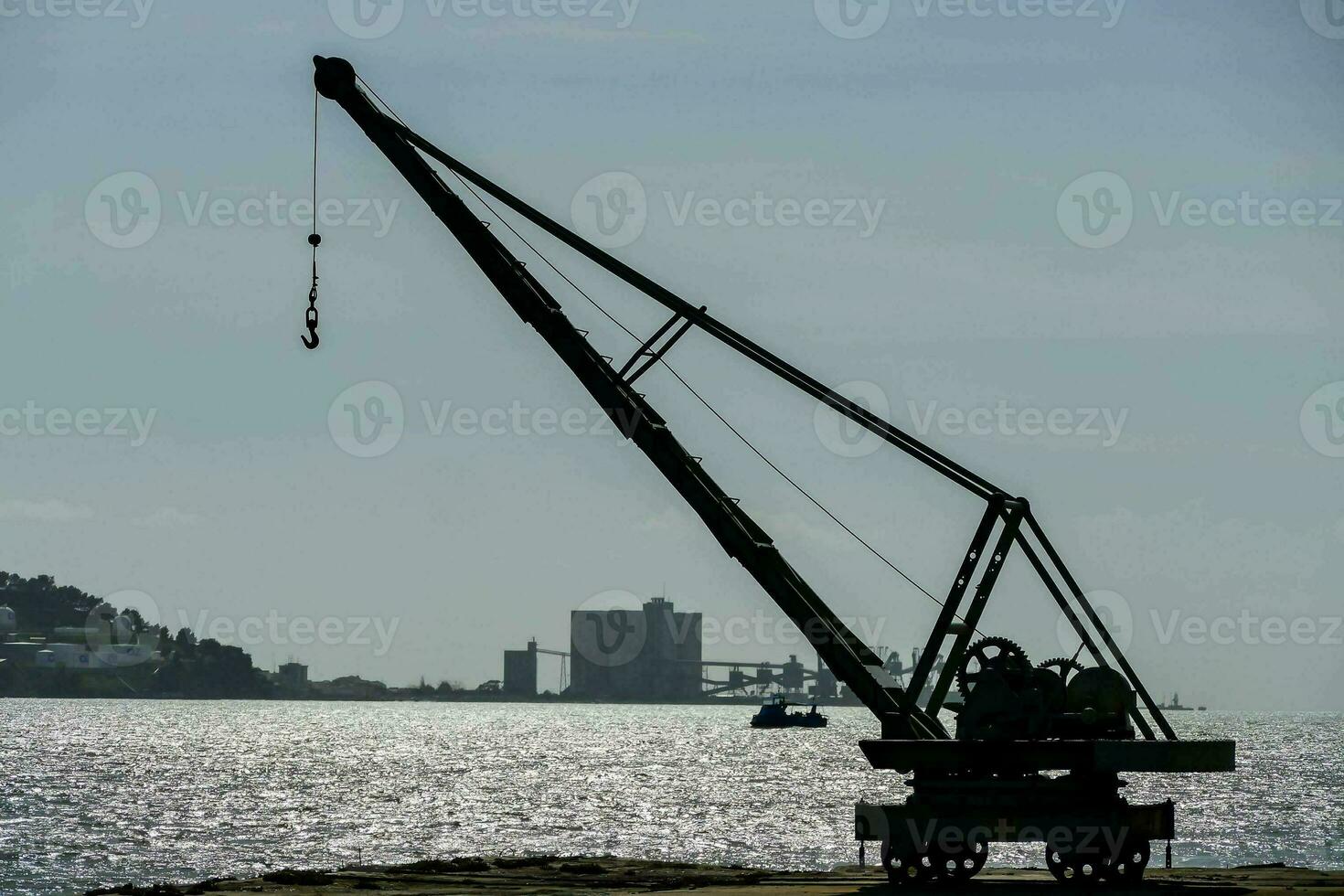 a crane with water in the background photo