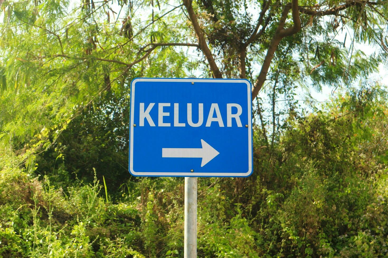 la carretera firmar dirección a salida. Traducción en el la carretera firmar salida foto