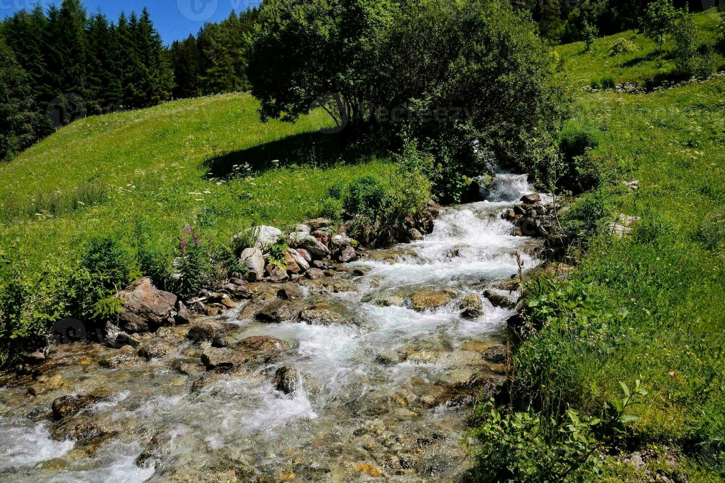 a stream running through a grassy field photo