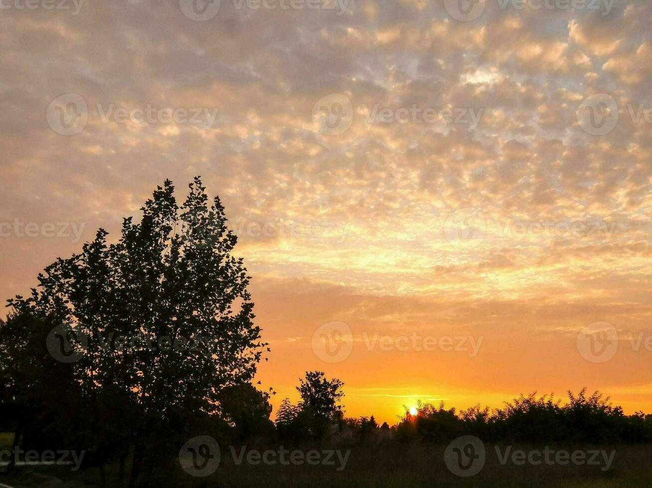un puesta de sol terminado un campo con arboles y césped foto