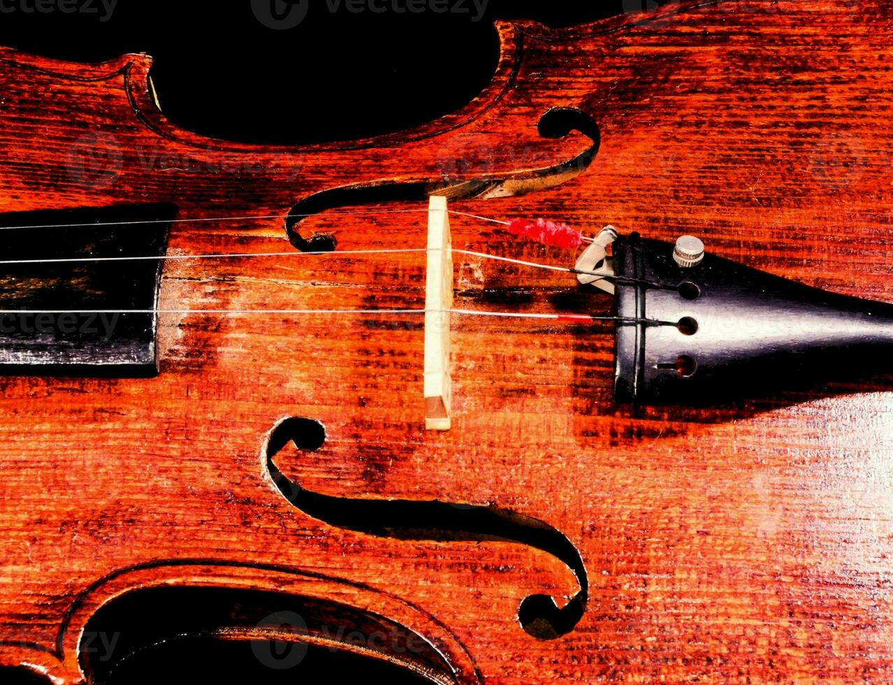 a close up of a violin on a black background photo