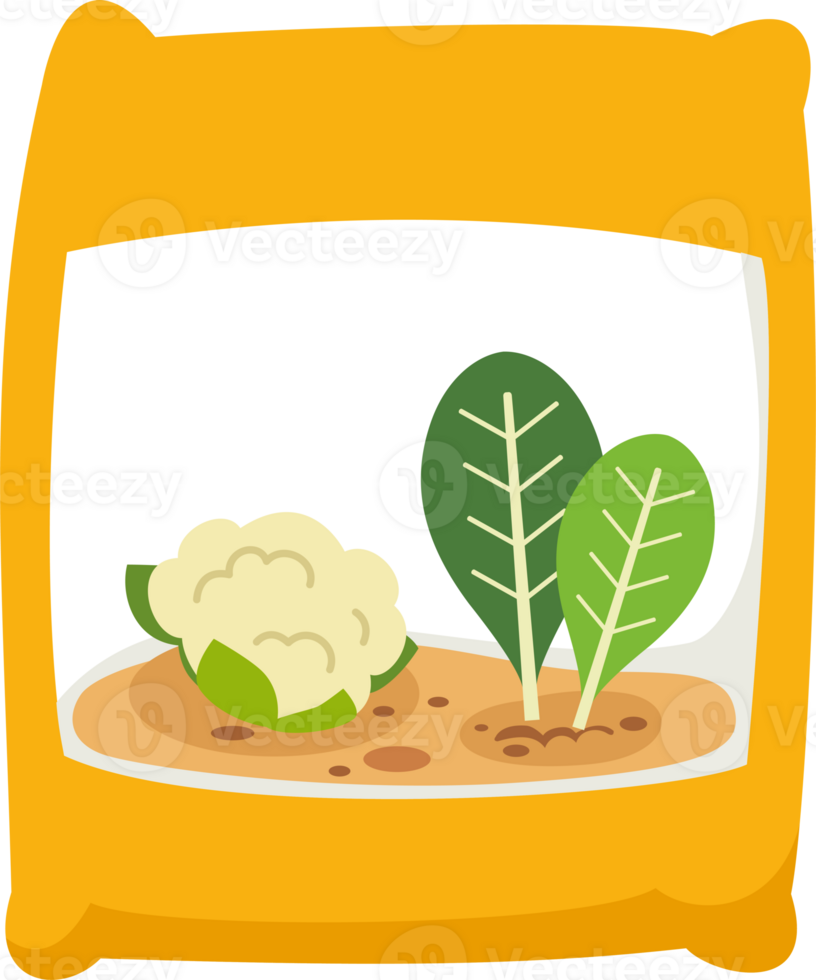 illustration vegetable seeds png
