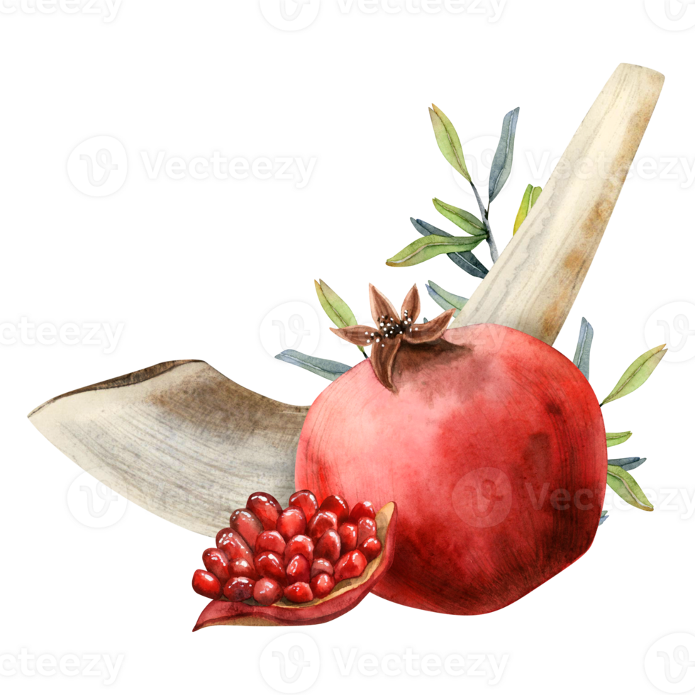 Pomegranate fruits with leaves and shofar ram horn for Jewish new year, Rosh Hashanah, Yom Kippur watercolor illustration. Best for invitation cards, gift package sticker png