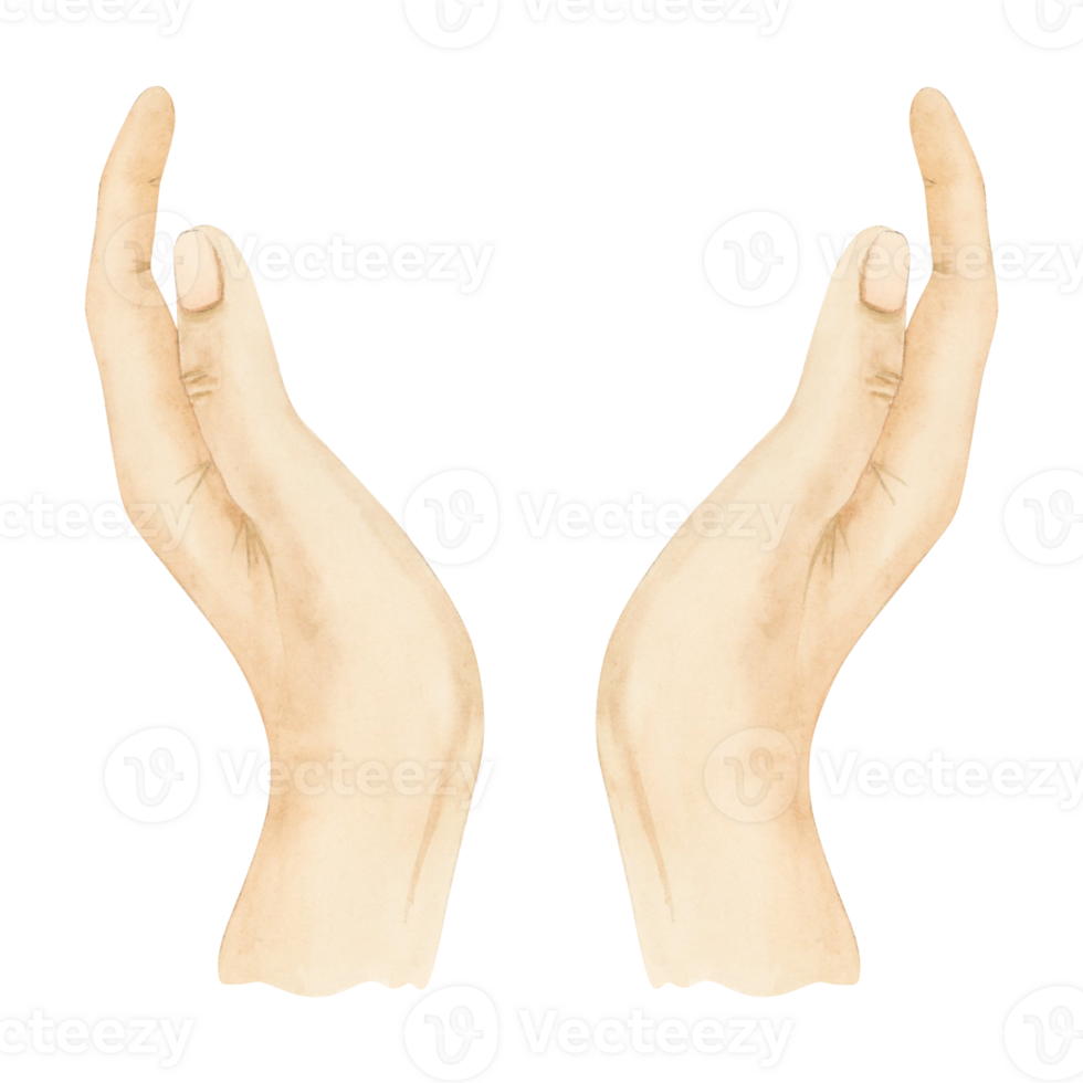Two hands holding gesture template watercolor illustration for hope, charity and peace concepts, cosmetics and skin care designs. png