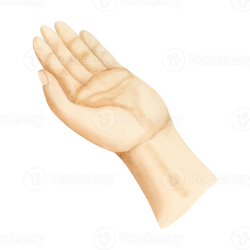 Watercolor open palm hand gesture illustration. Poverty, outstretched or raised hand. png