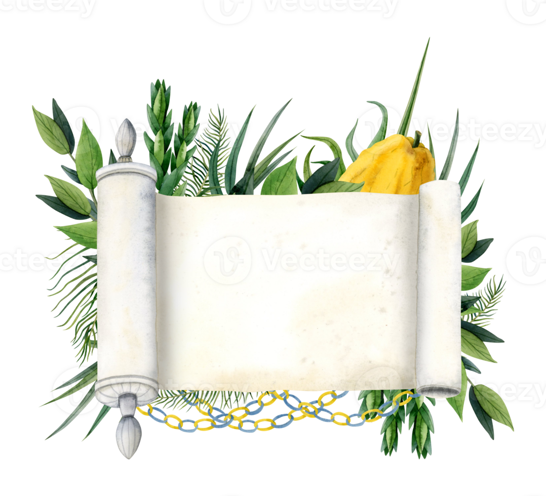 Sukkot banner tempate with blank Torah scroll and symbols watercolor illustration. Four species etrog fruit, hadass, lulav, aravah, myrtle and willow png