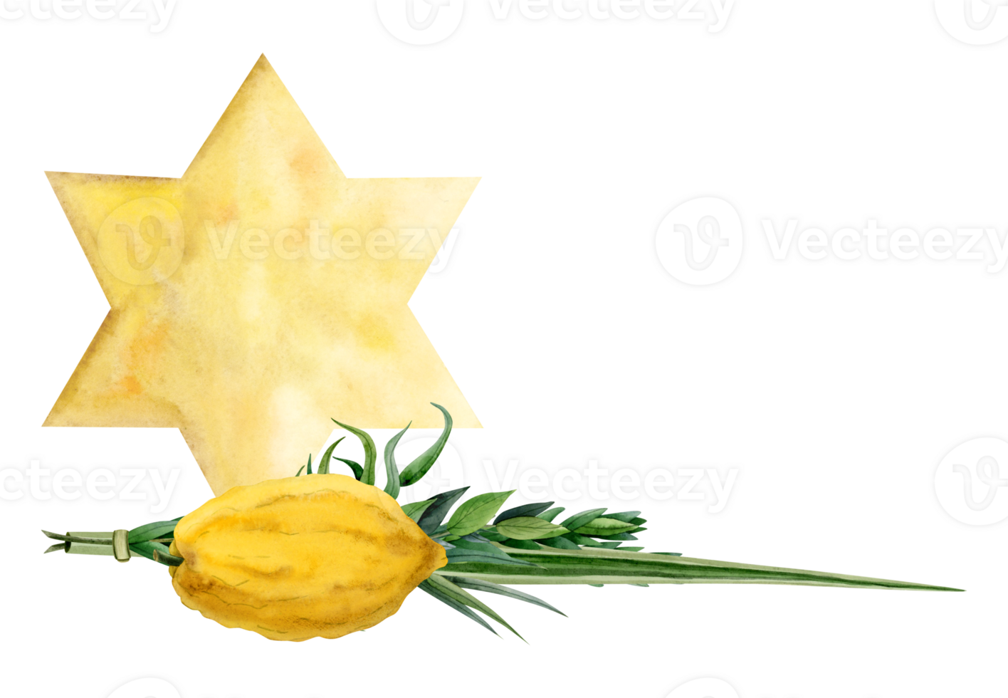 juif symbolique les plantes pour Souccot vacances avec Jaune or étoile de David aquarelle illustration. quatre espèce saule et myrte branches, etrog citron fruit, paume fronde png