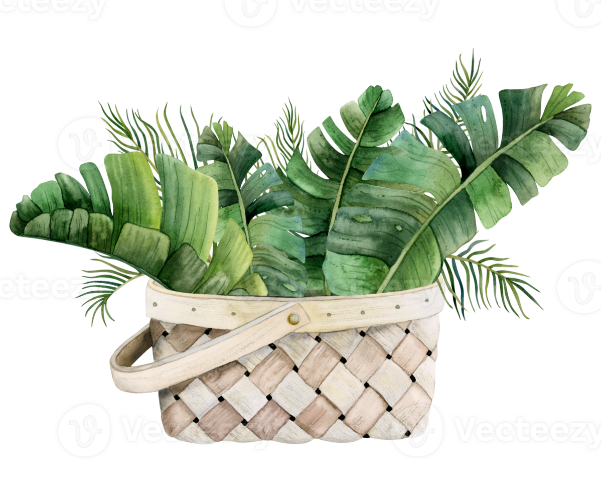 Watercolor tropical bouquet of palm and banana leaves in wicker basket botanical illustration for cards, stickers, floral shops and web design png