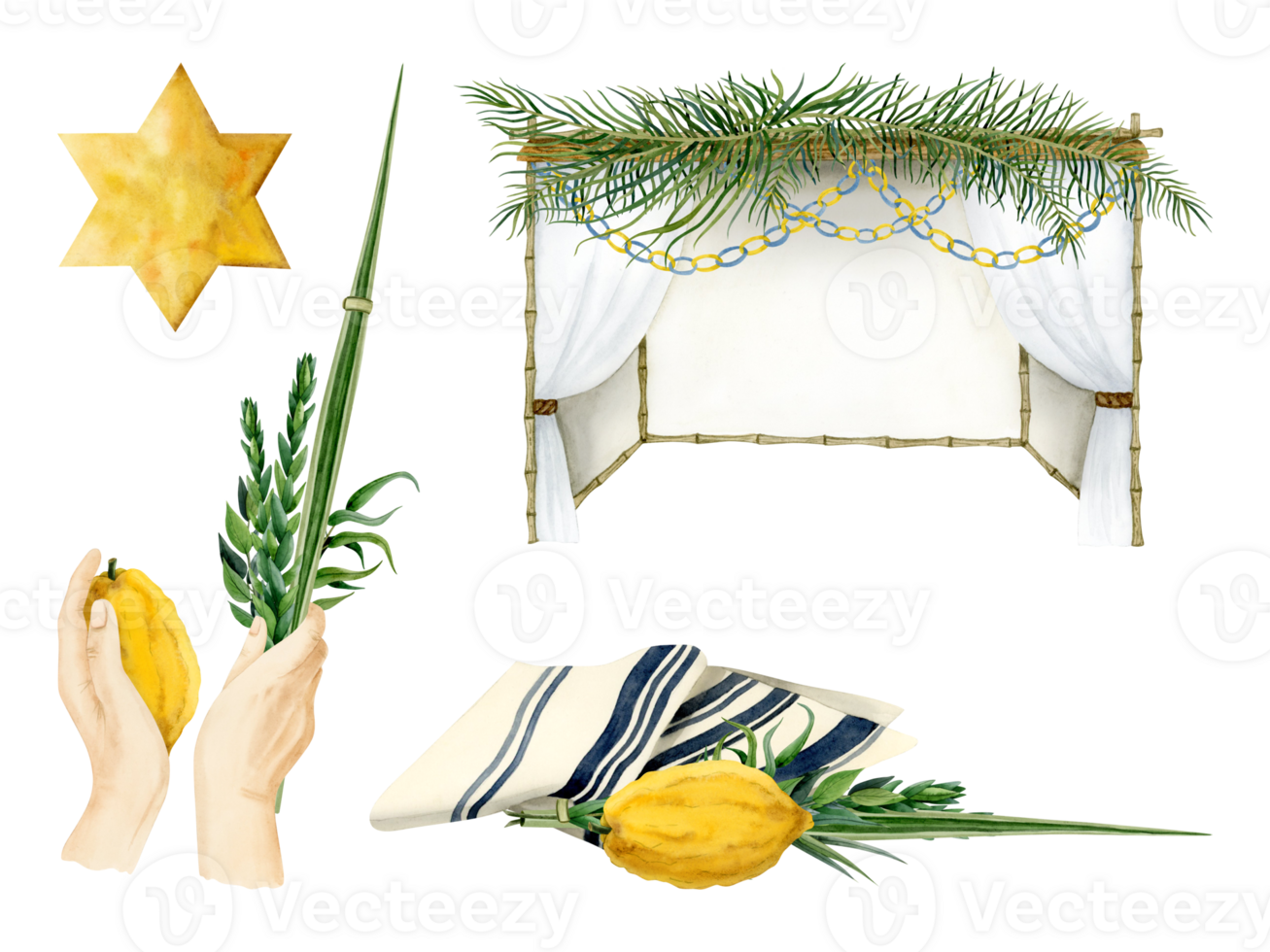 Sukkot symbols, sukkah, tallit, waving the Lulav and yellow gold star of David watercolor illustration set. Four species etrog, hadass, lulav, aravah or willow and myrtle branches, citron, palm leaf png