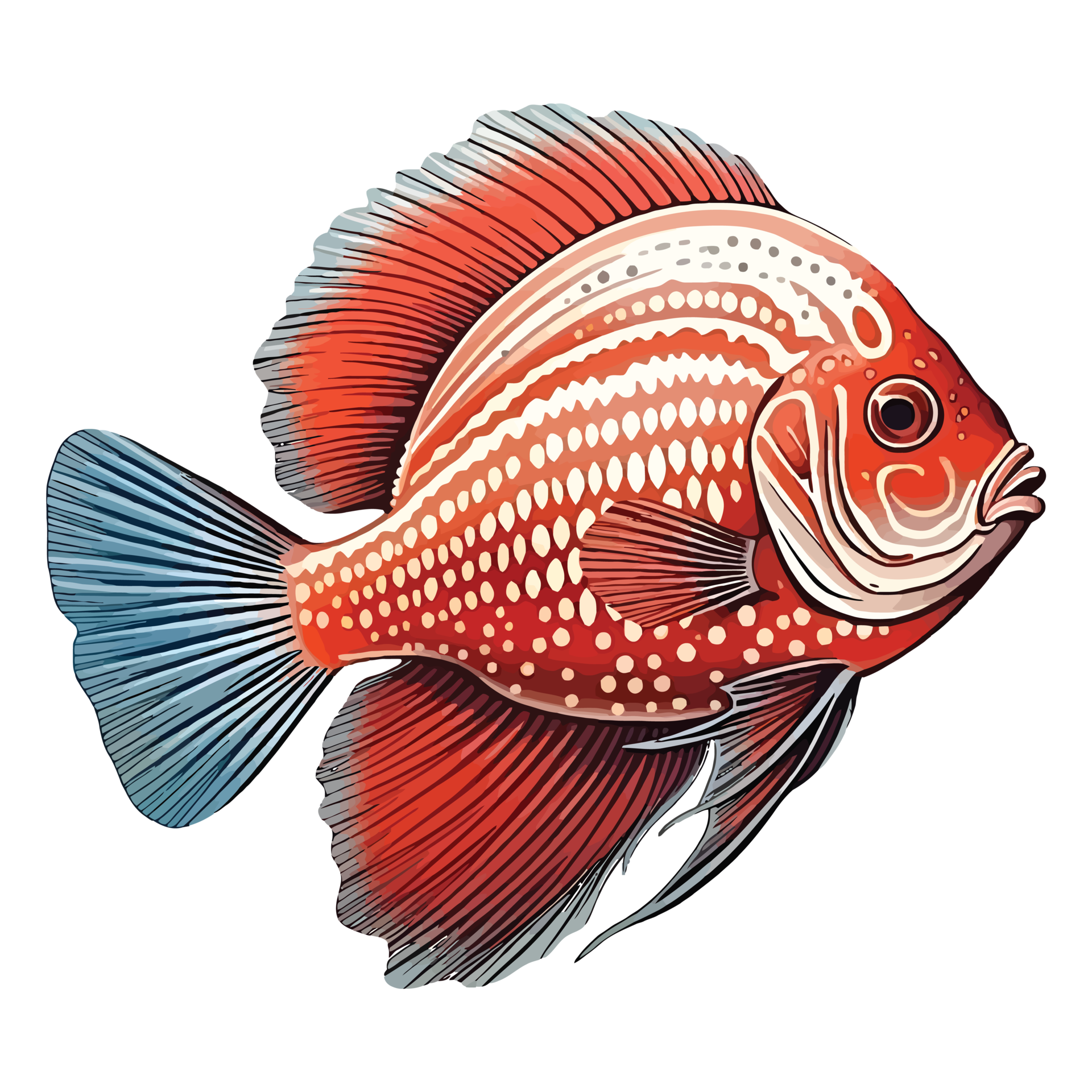 EyeCatching Aquatic Art Red Discus Fish Brought to Life in 2D