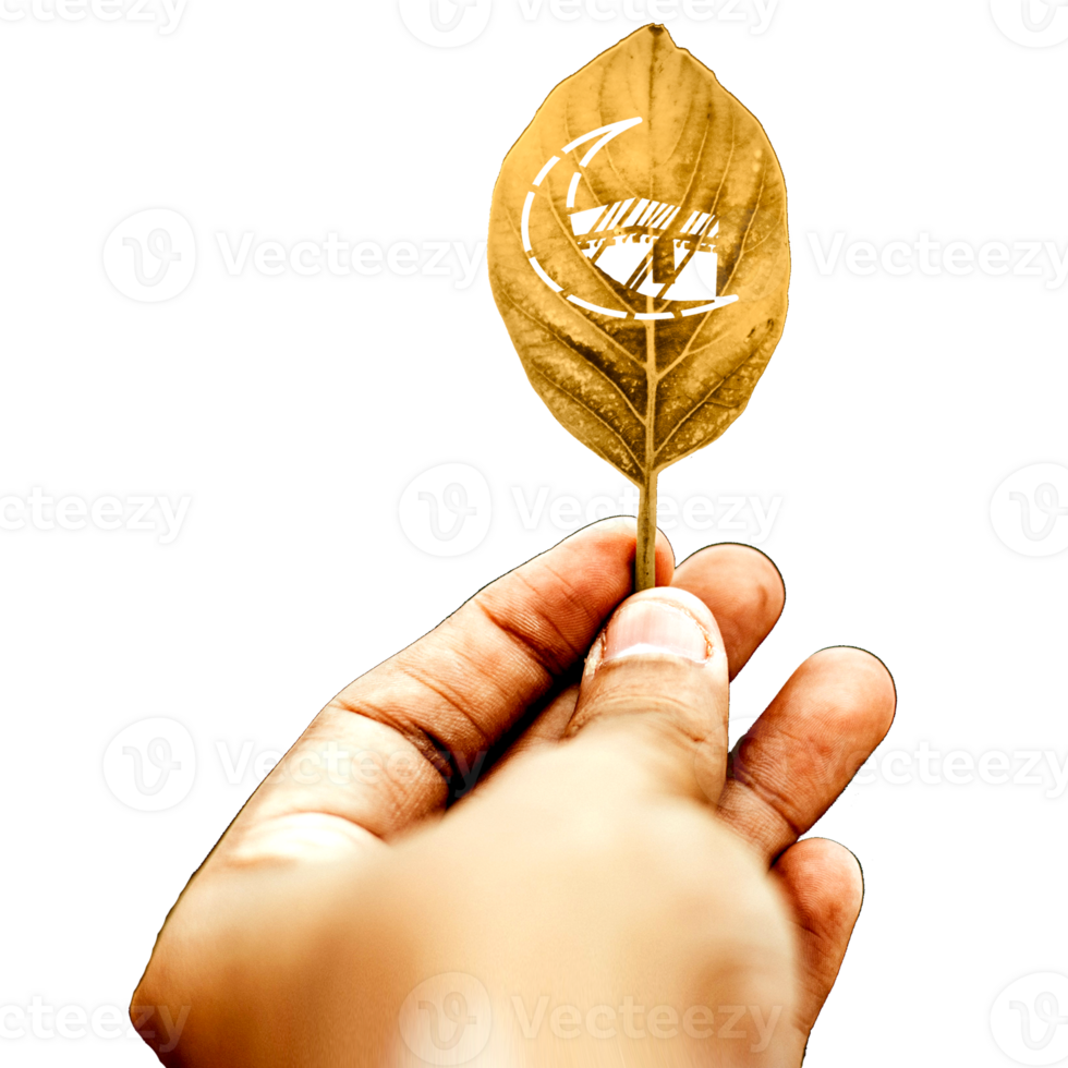 icon finger hand hold leaf png