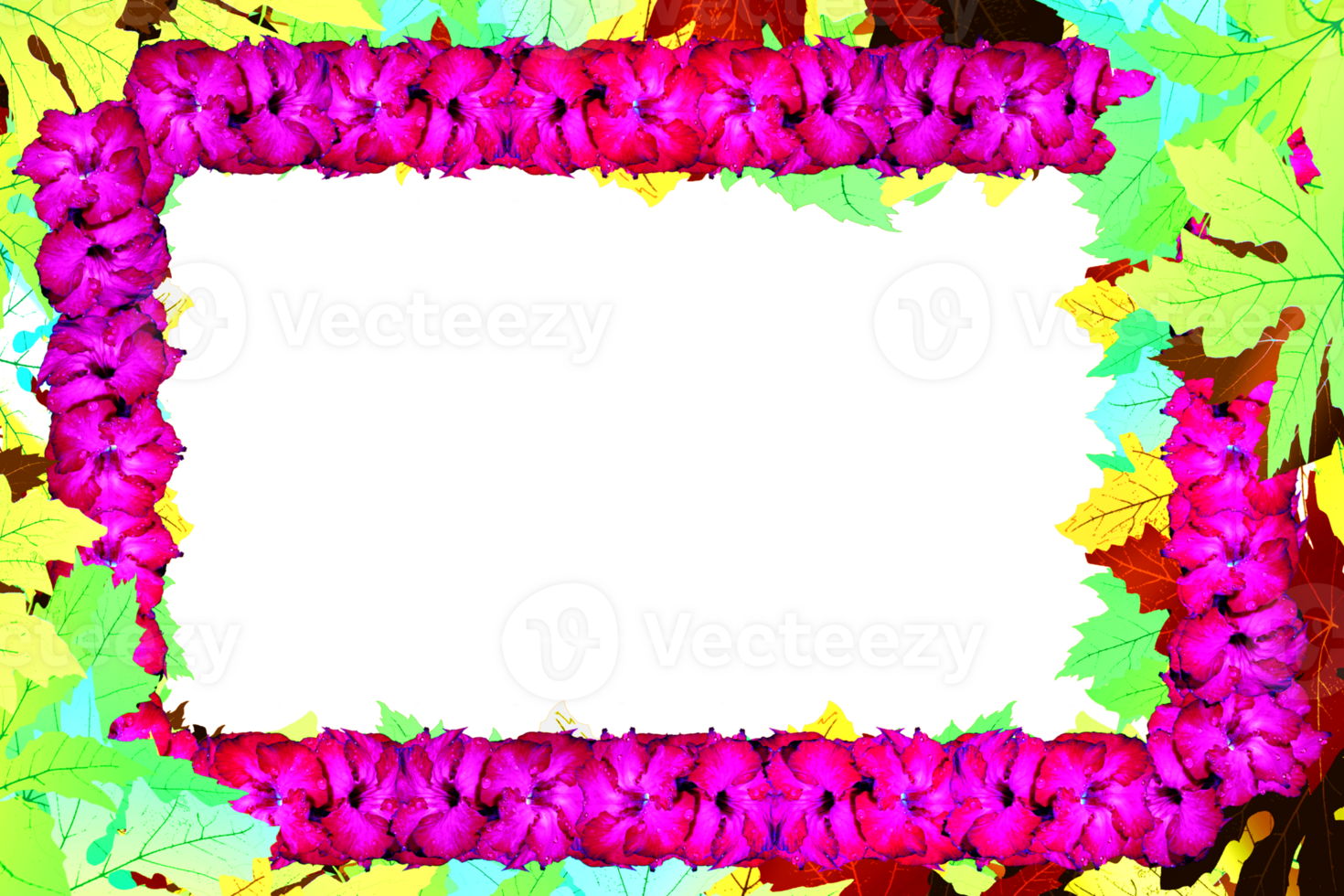 frame decoration with flower png