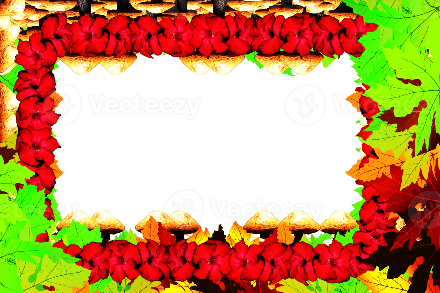 frame decoration with flower png