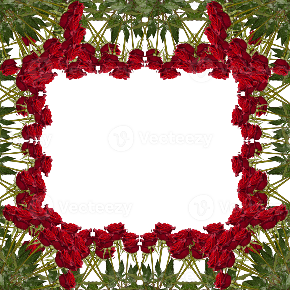frame decoration with flower png