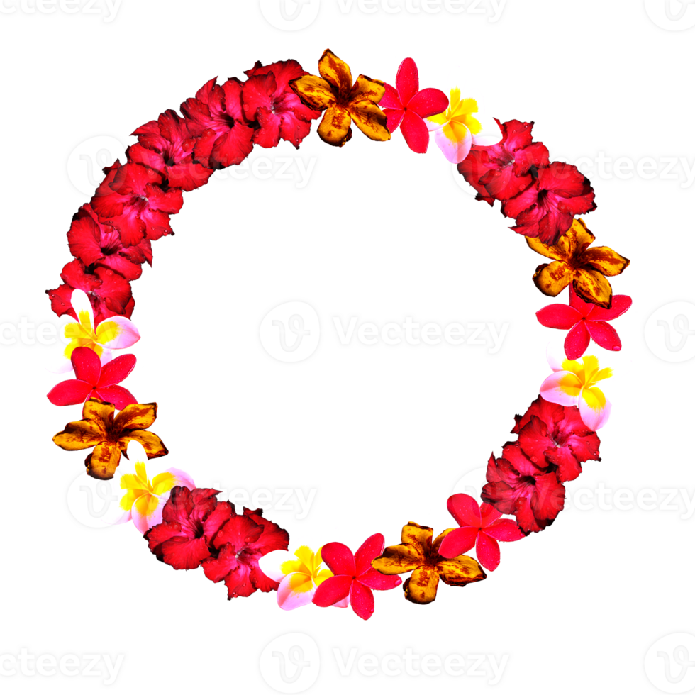 frame decoration with flower png