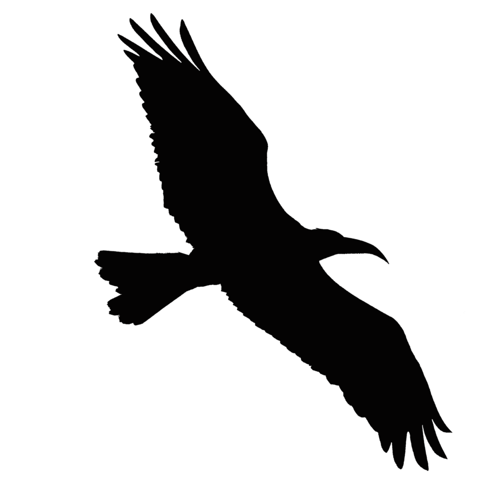 Symbol von Vogel png