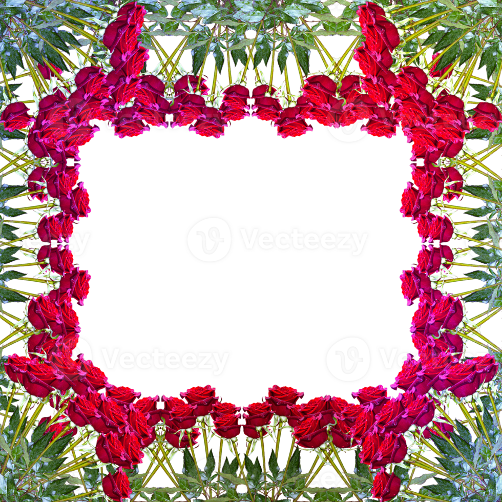 frame decoration with flower png