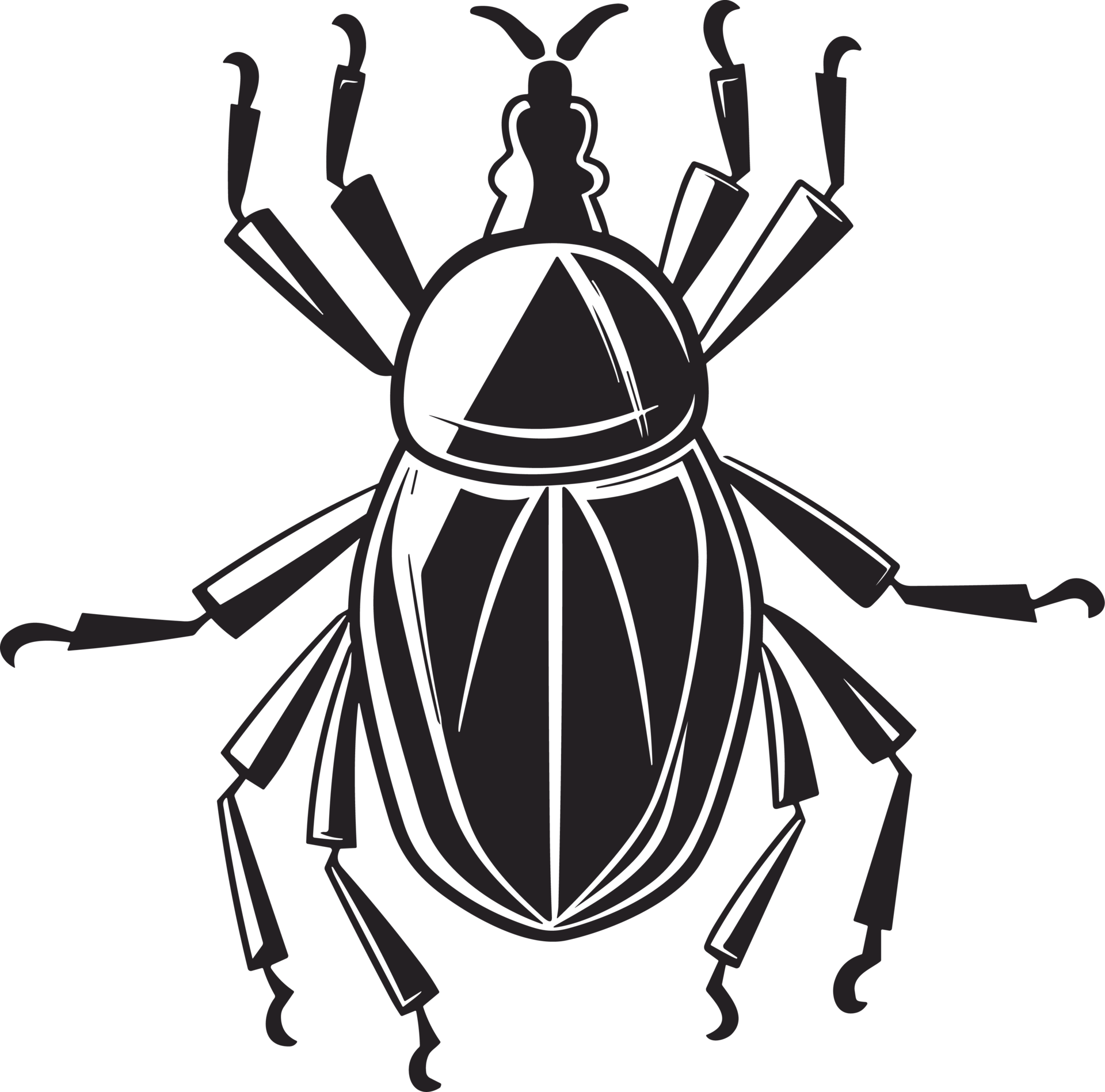 insect art in black and white ai generative 27240131 PNG