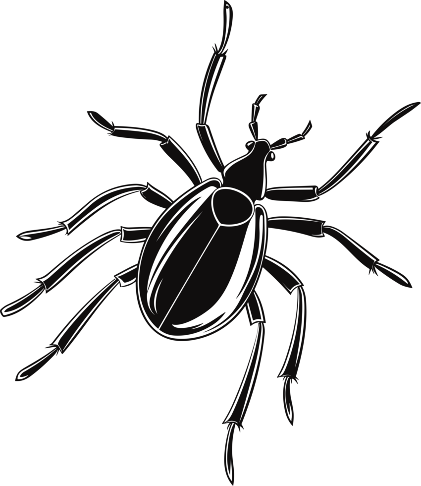insect art in black and white ai generative 27240142 PNG