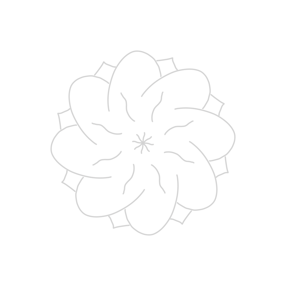 Dashed Flower element png
