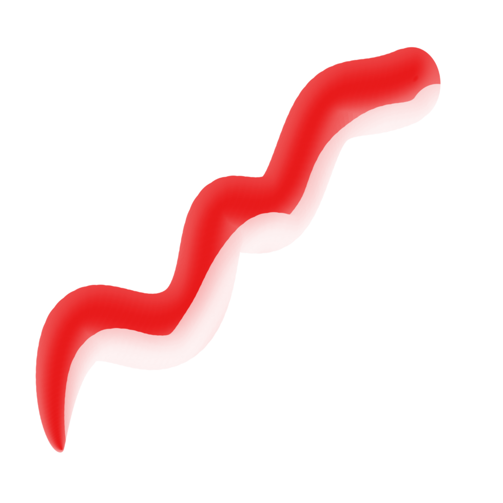 drapeau ruban Indonésie png