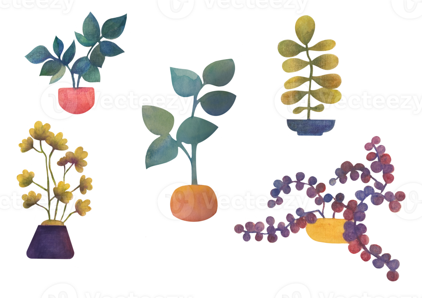 a set of watercolor house plants. clipart Flowers in a pot - stickers on a transparent background png