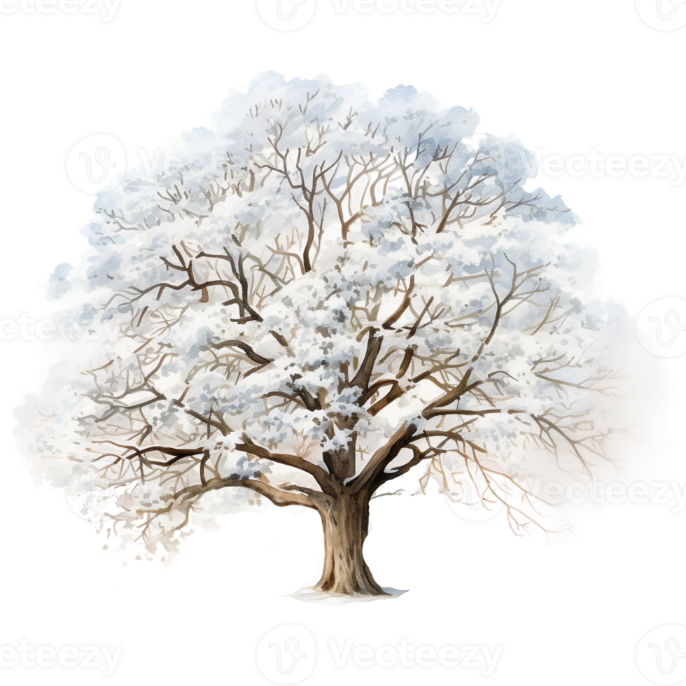 oak tree in winter season with white leaves isolated AI generated png