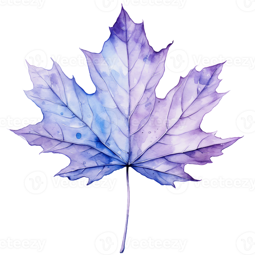autumn purple watercolor maple leaf ai generated png