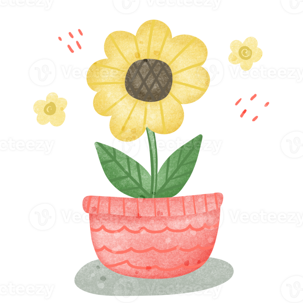 Yelling flower in a pot png