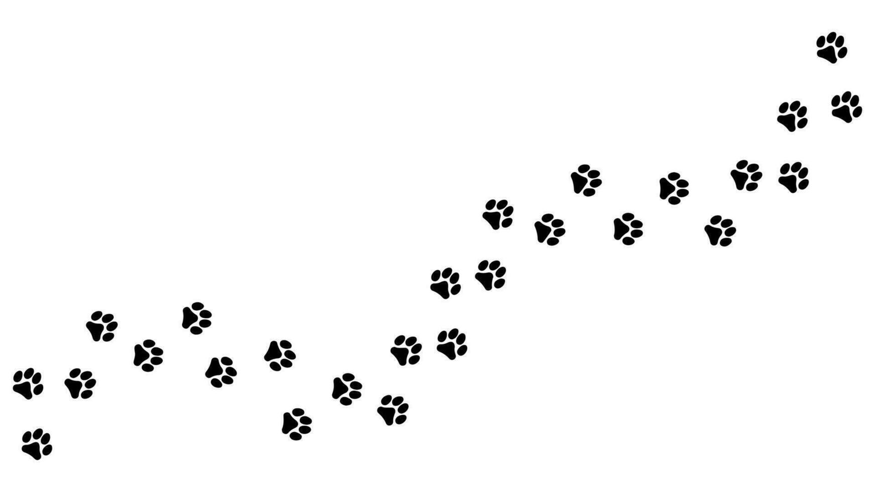 Track of paw footprints from a cat, tiger, lion, jaguar, panther, leopard, snow bars, cougar, cheetah, felines. Silhouette diagonal track. Vector on white. For pet shop, textiles, print on clothes