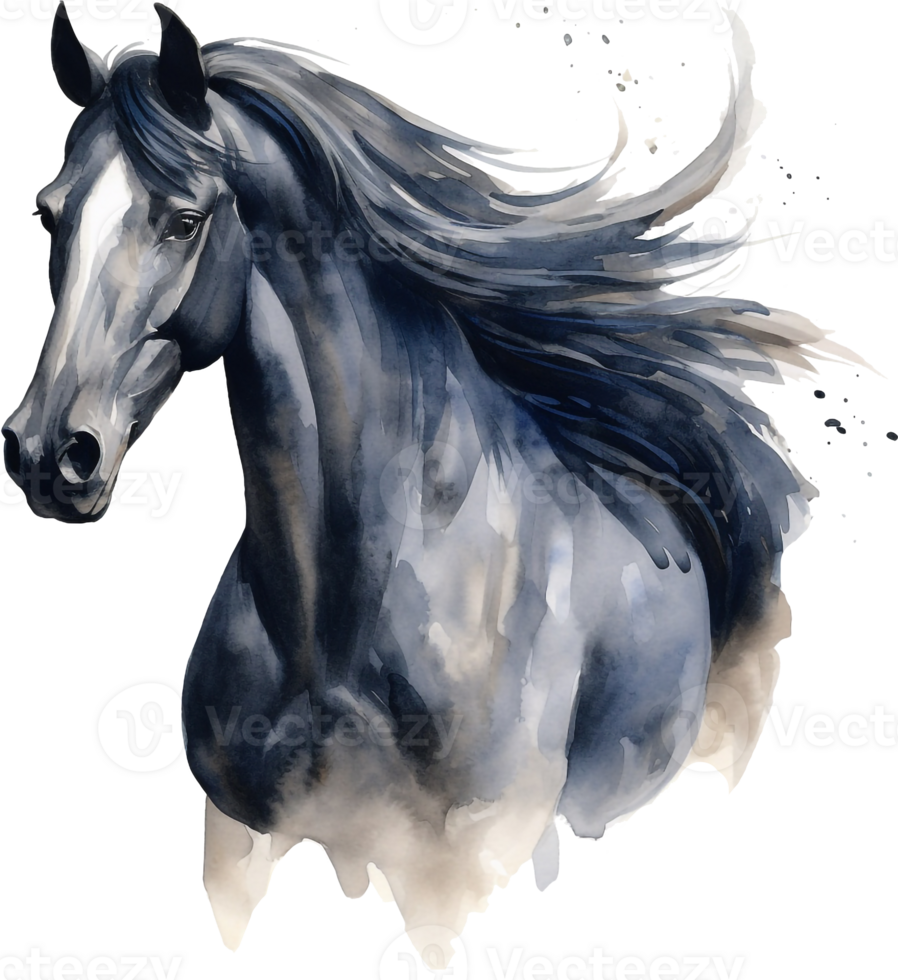 Black horse portrait isolated on transparent background. Watercolour illustration. png