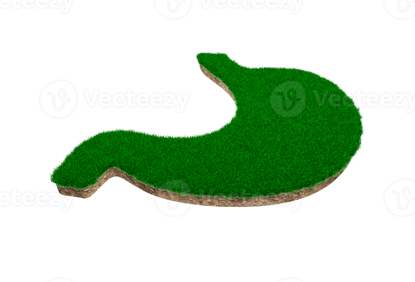 Stomach shape made of green grass and Rock ground texture cross section with 3d illustration png