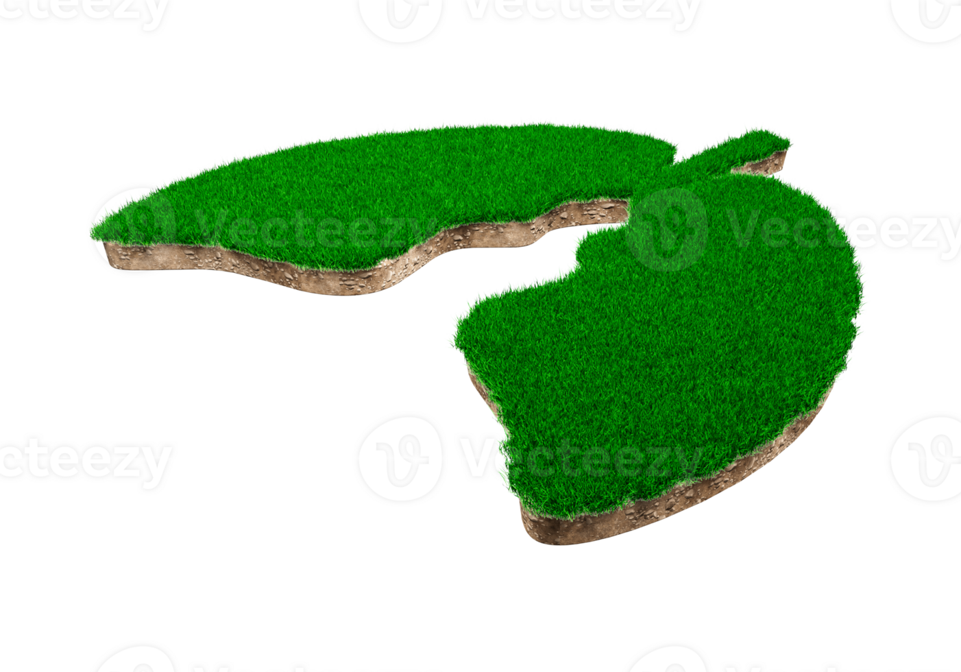 Lungs shape made of green grass and Rock ground texture cross section with 3d illustration png